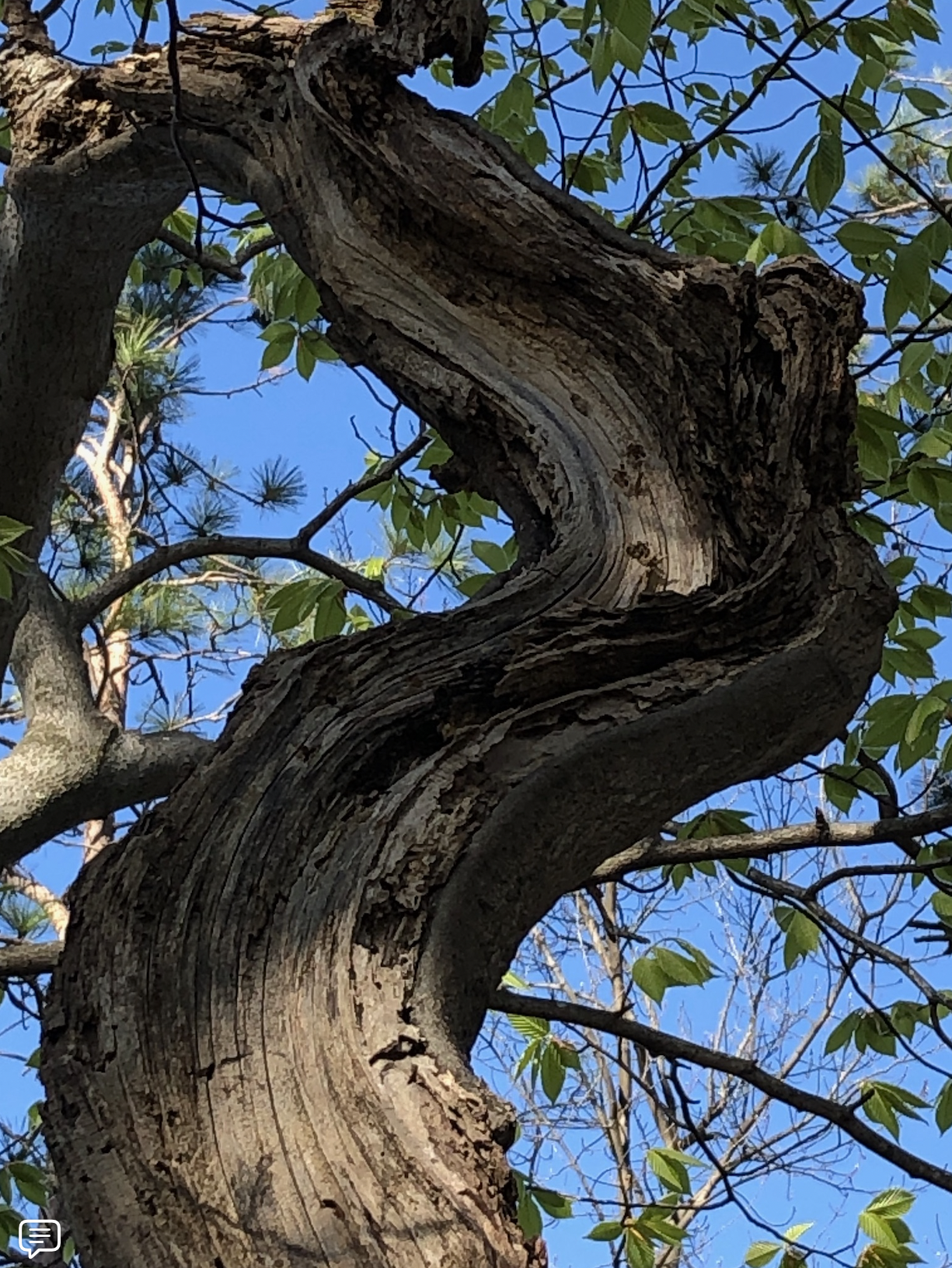 Flow of Nature