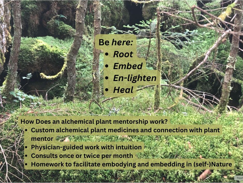 Alchemical Plant Healing