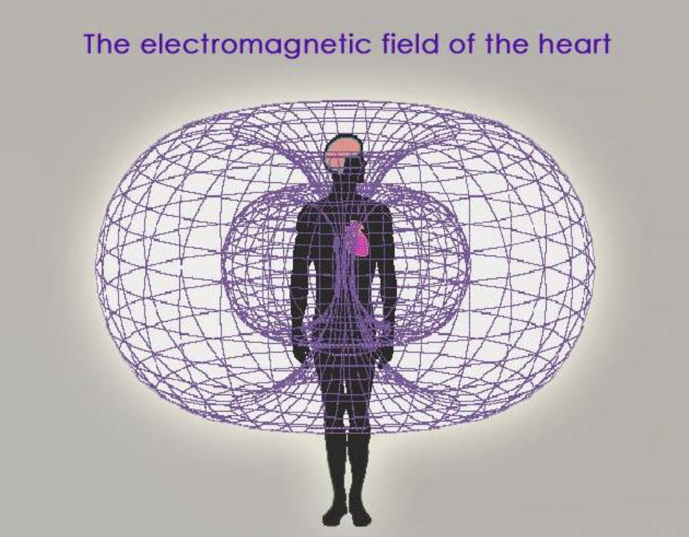 The Electromagnetic Field of the Heart