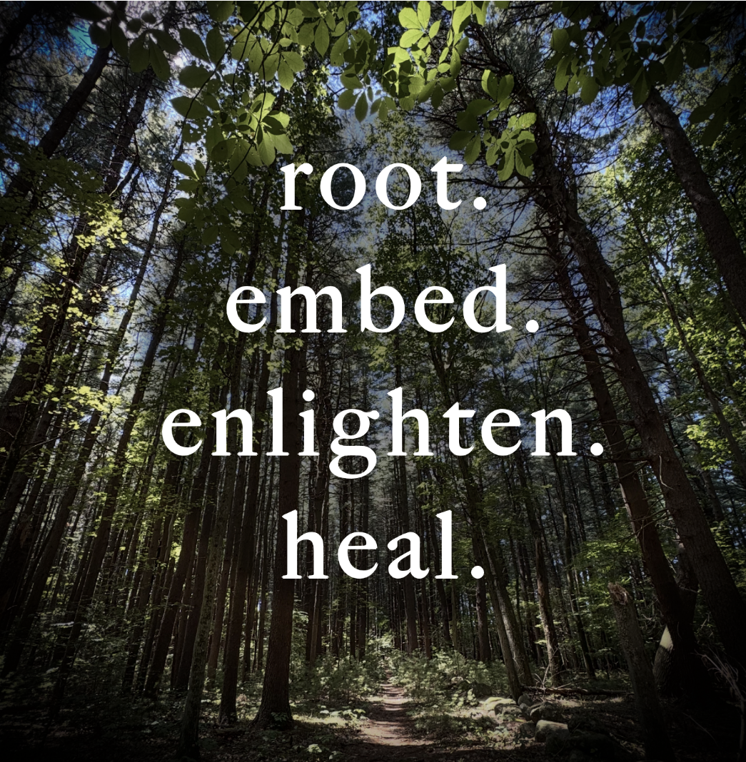 Alchemical Plant Healing