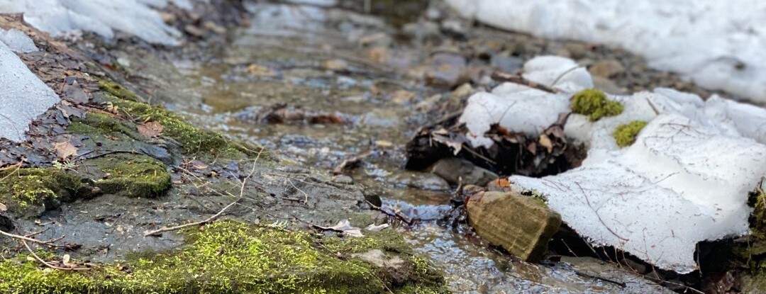 Melting snow on rocks with moss