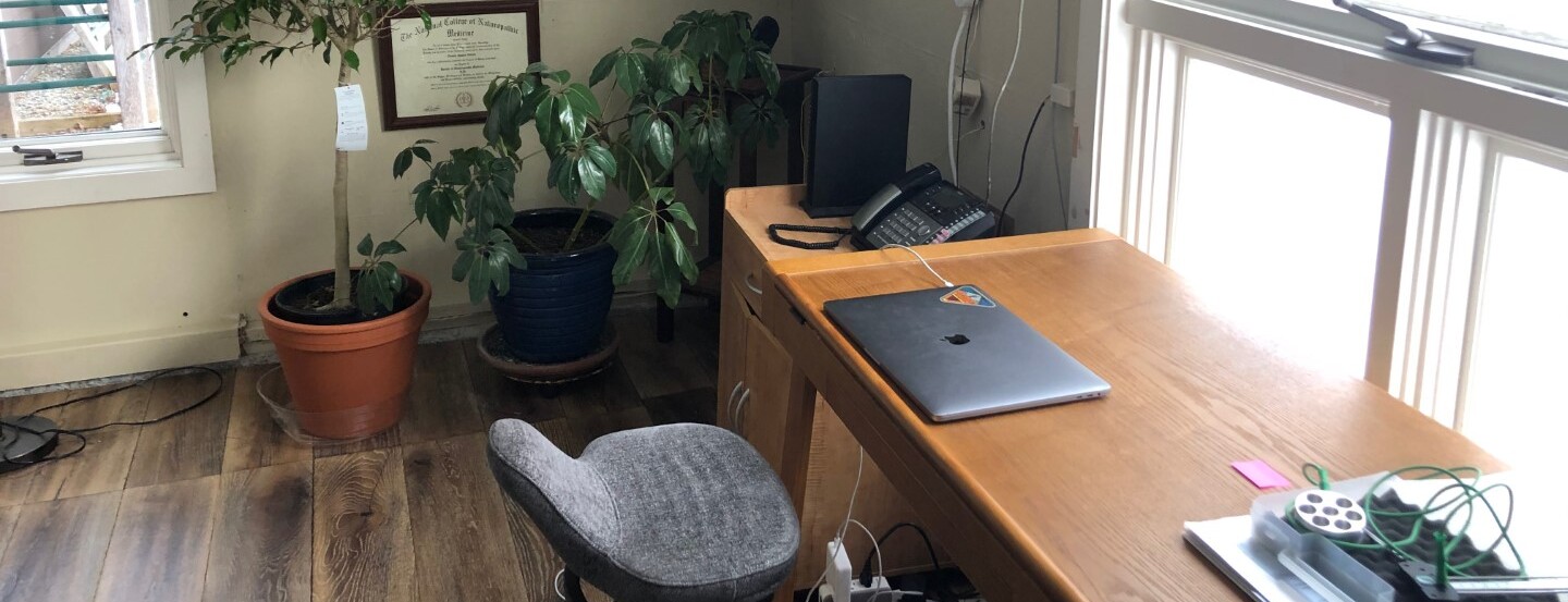 work from home office with plants and laptop